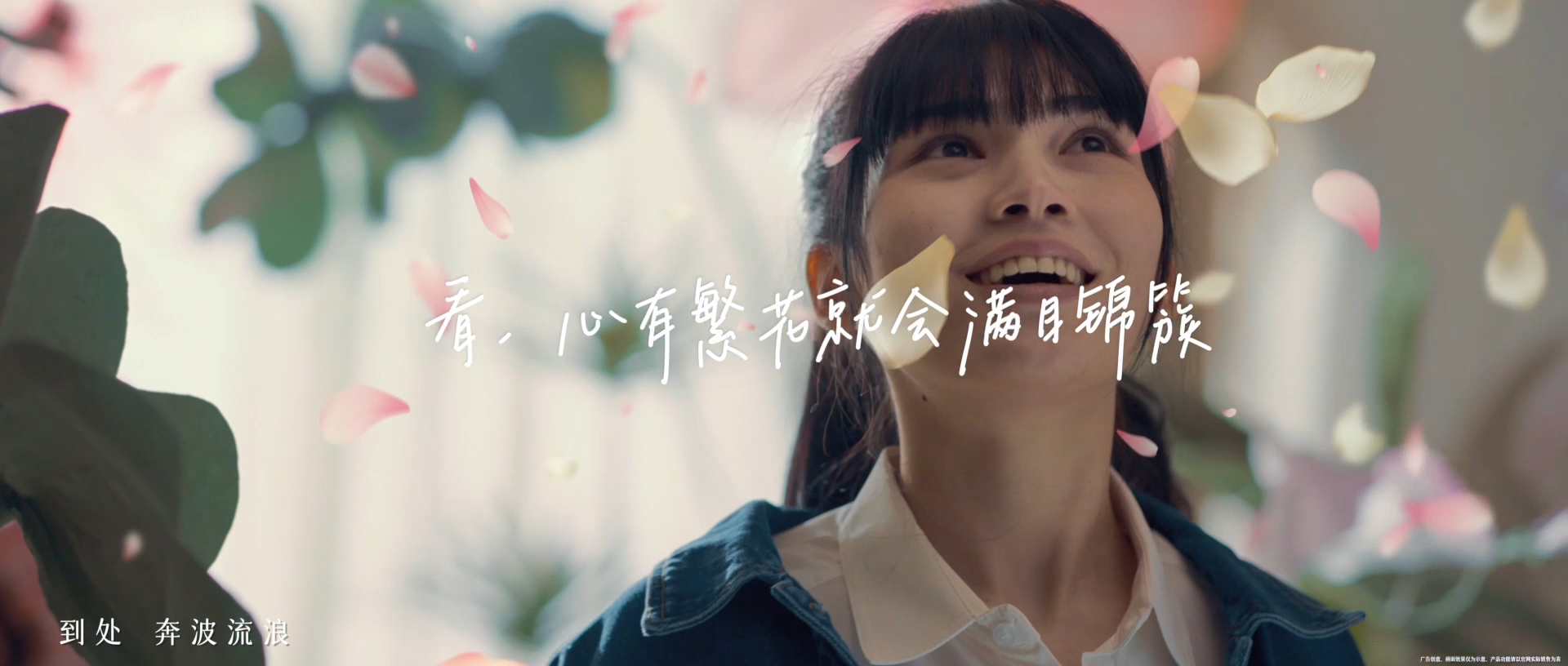 海信视像品牌宣传片：花瓣飘落的电影感画面